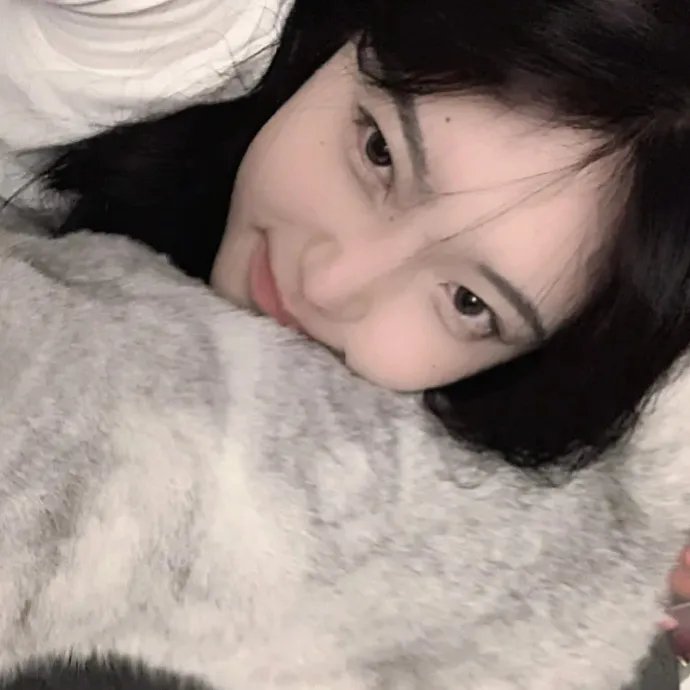 壳中少女 压缩